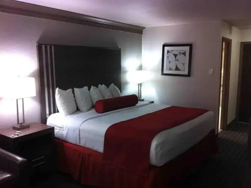Clarion Inn & Suites Conference Center
