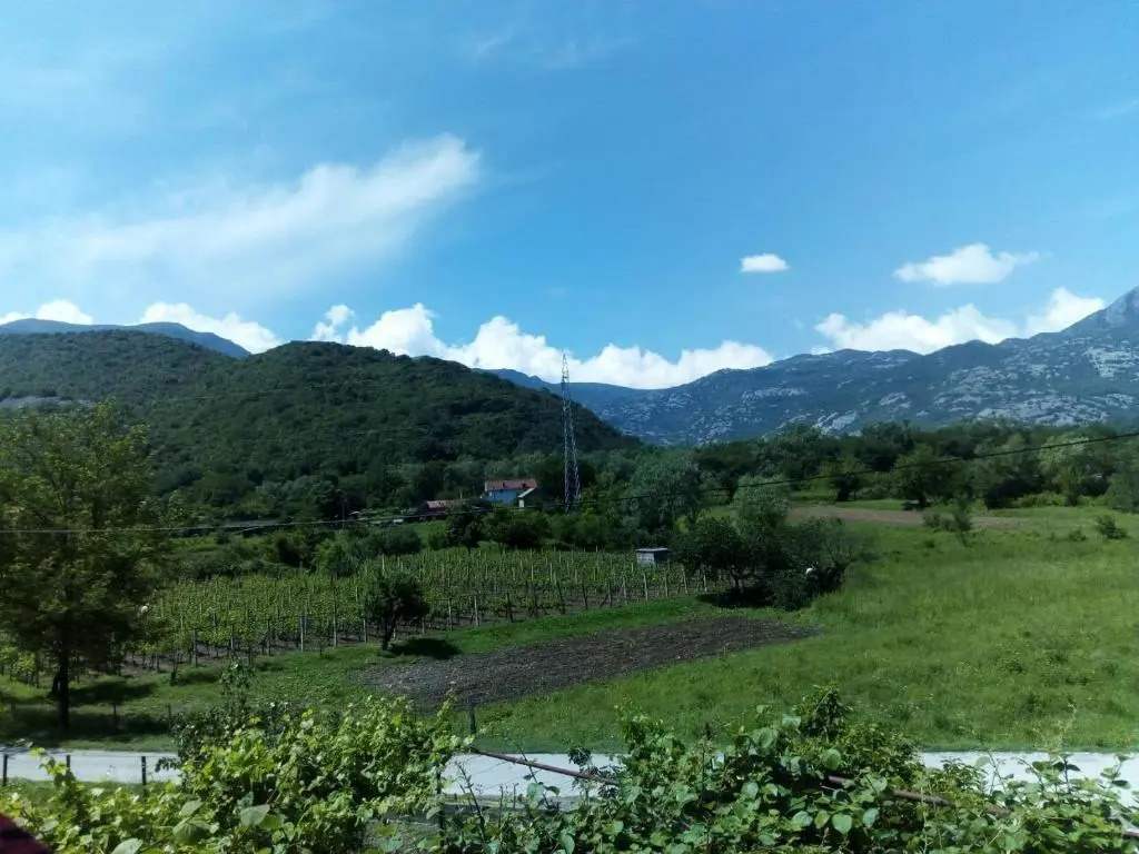 Studio and winery Kalimut