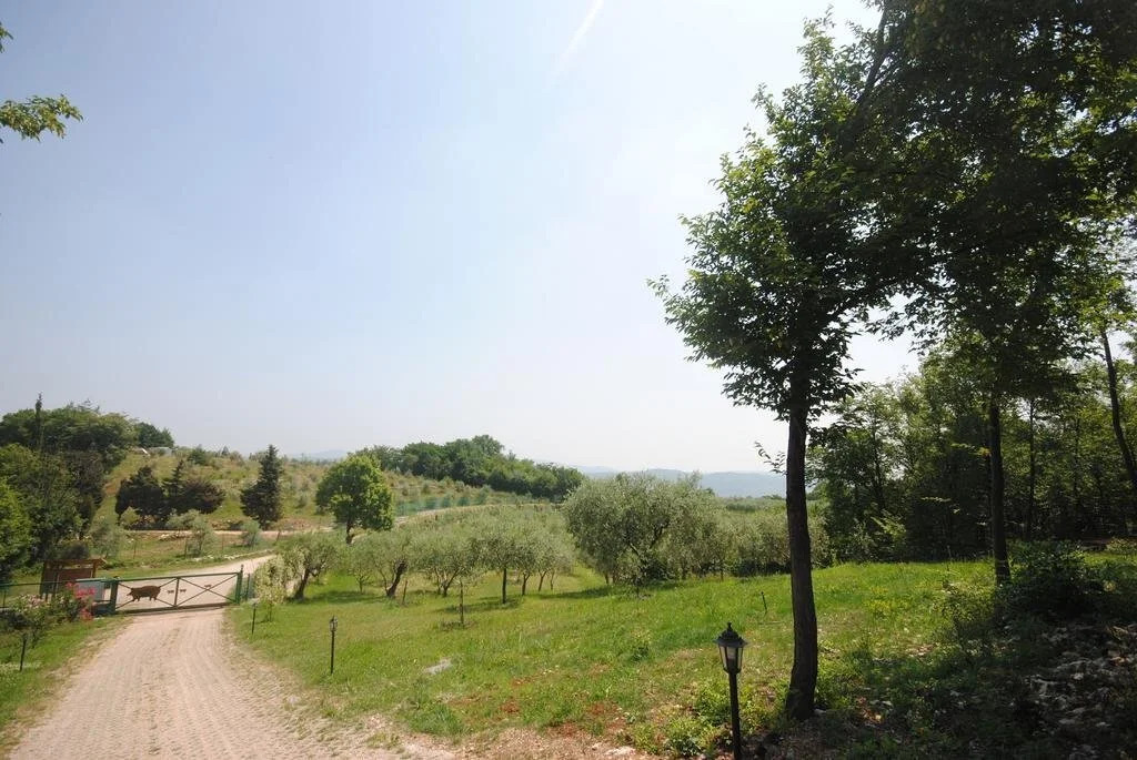 Agriturismo il Porcellino