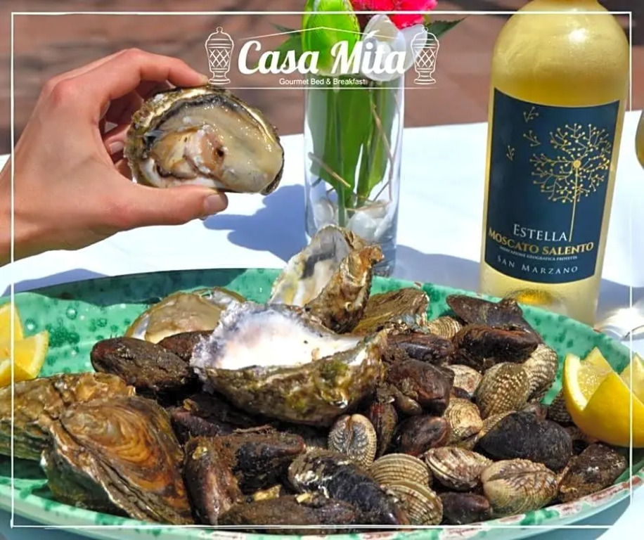 Casa Mita
