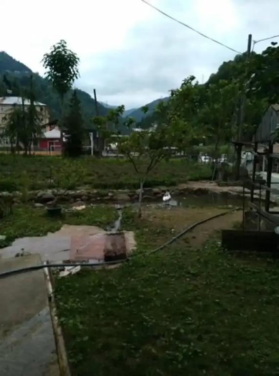 Yeşil Doğa Bungalov