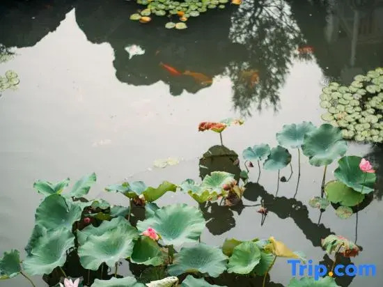 Rende Villa · Jiangnan Garden · Lakeview Resort (Taihu Eastern Hills Scenic Area)