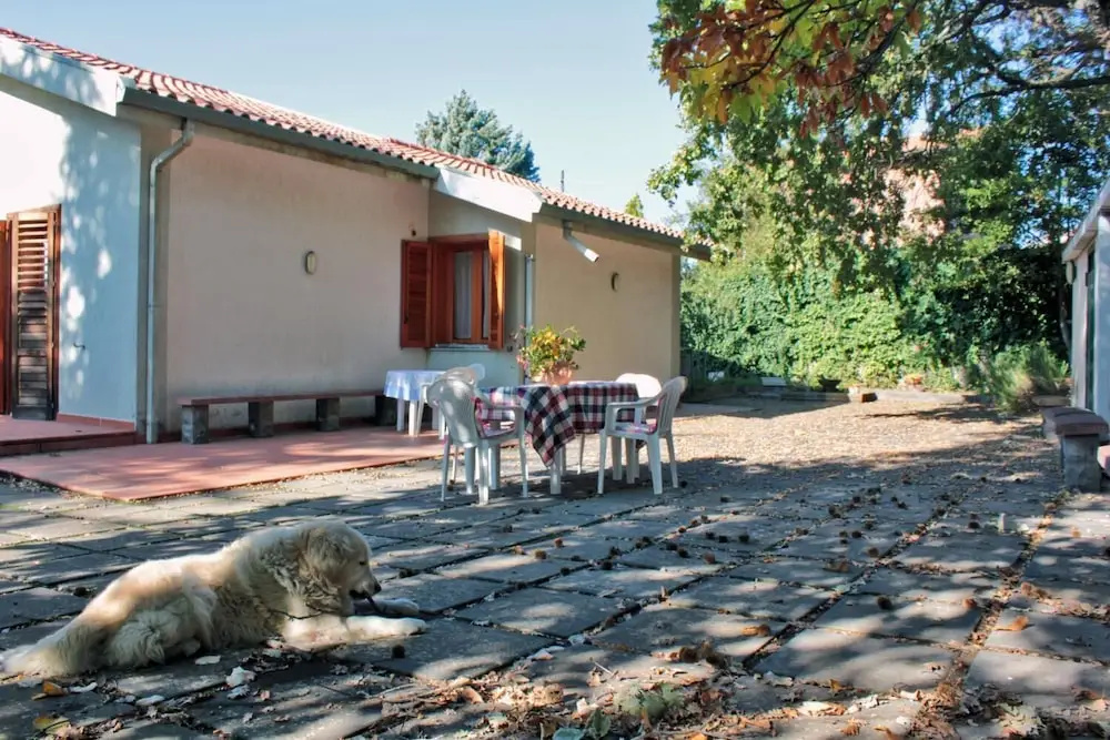 Magma Guest House