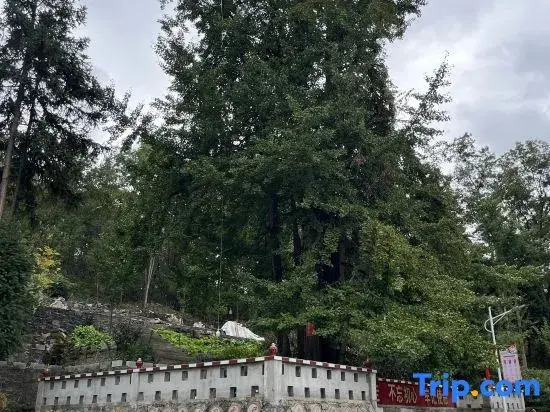 Badong Qingqingshu Homestay (Yesanguan Shunjing Xiandaicheng)