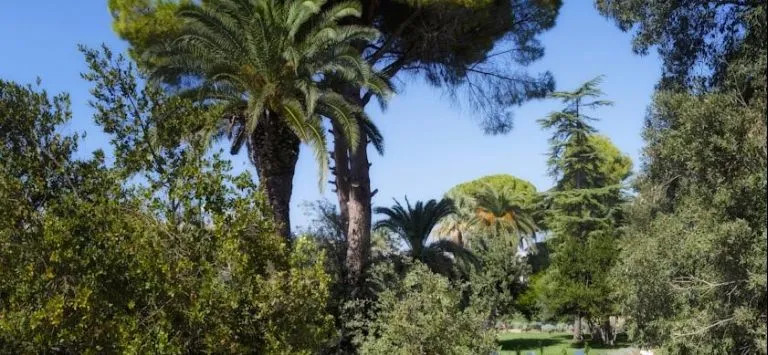 Villa Arditi