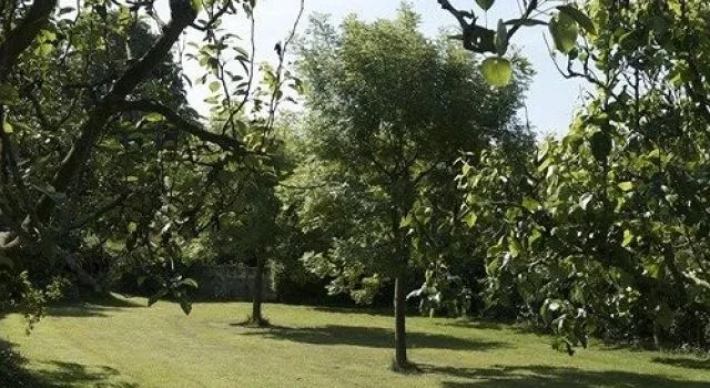 Yarrangall B&B