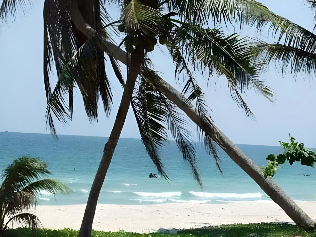 Chill Beach Resort