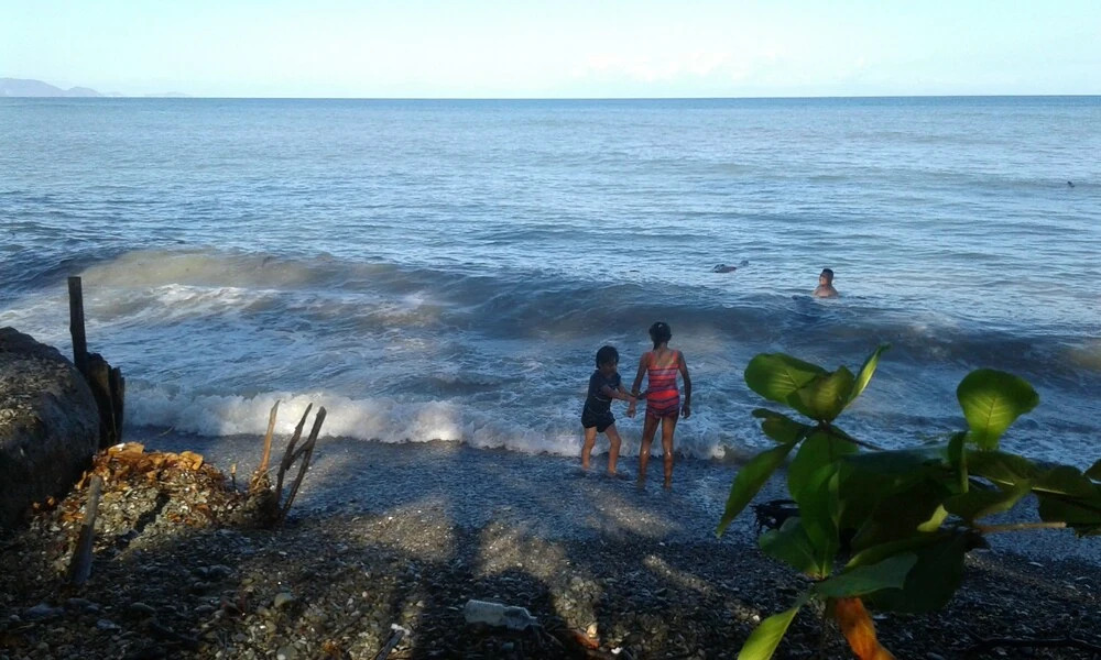 Howler Monkey Hotel
