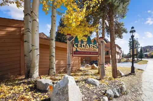 Cedars #2 by RedAwning