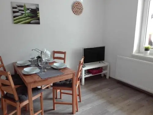 Apartments Grudnik with free parking