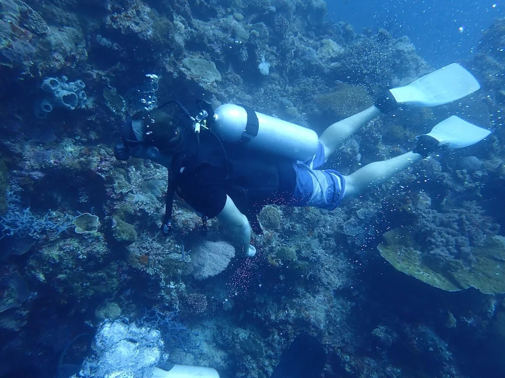Hoga Island Dive Resort