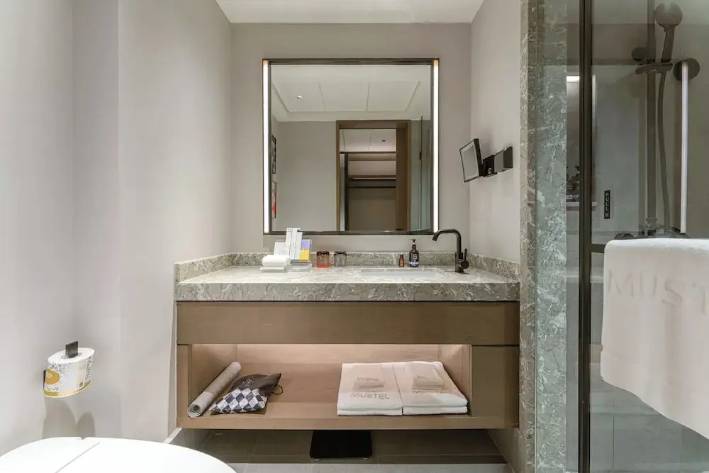 The Mustel Hotel Chongqing Hongyadong
