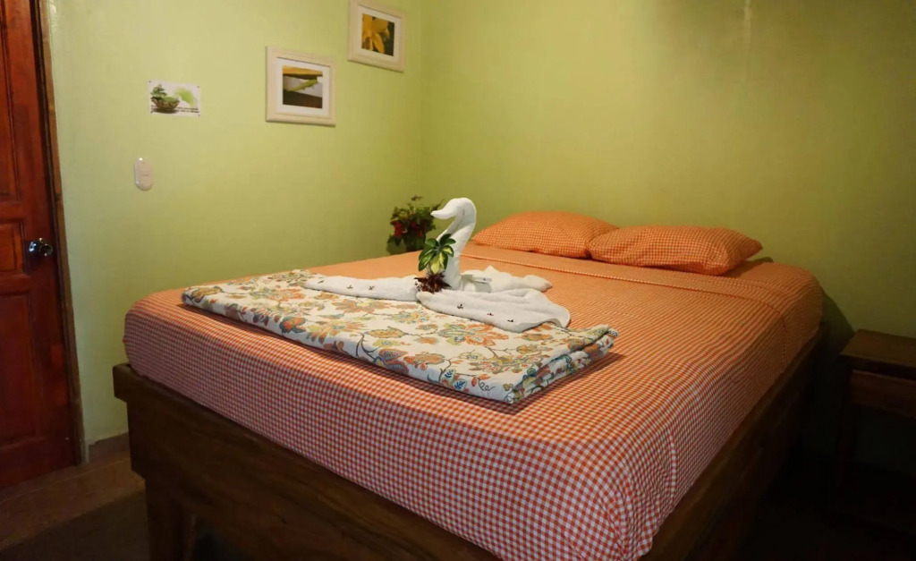 Jungles Edge Hotel, Jiu Jitsu, Muay Thai Retreat Center