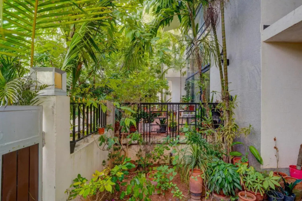 Paradise Guest House