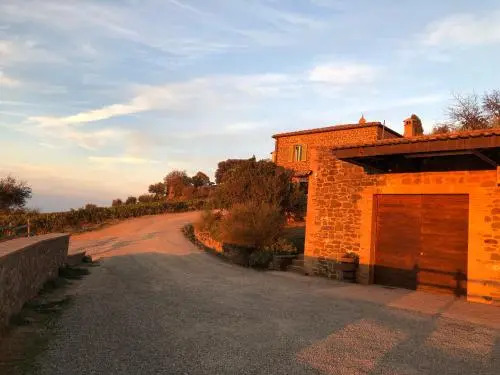 Podere Soccorso