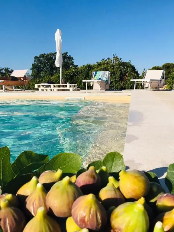 Masseria Scinarello