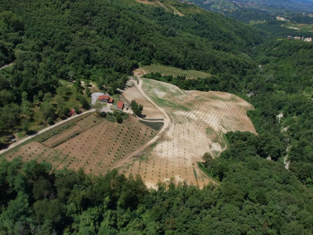 La casetta