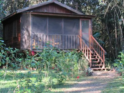 Macaw Bank Jungle Lodge
