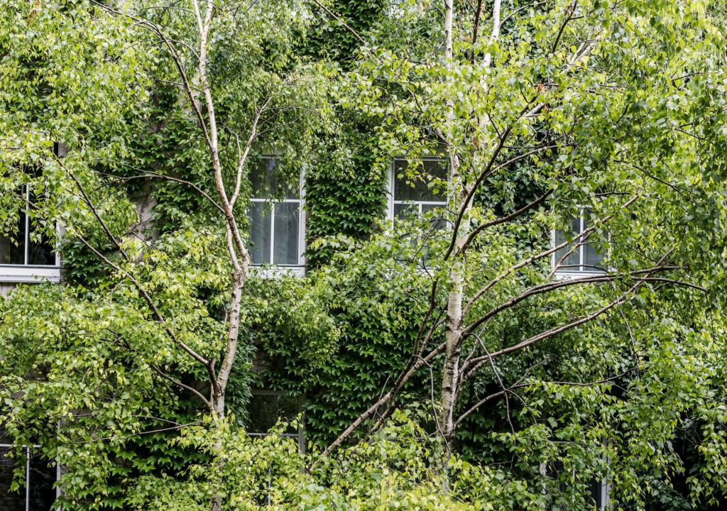 Boutiquehotel Stadthalle by Cocoon