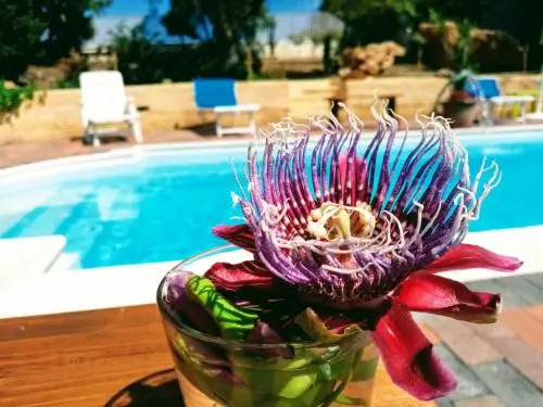 B&B Villa SantAntonio