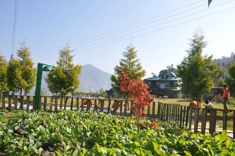 Emerald Trail, Janglia Gaon, 22 kms from Nainital