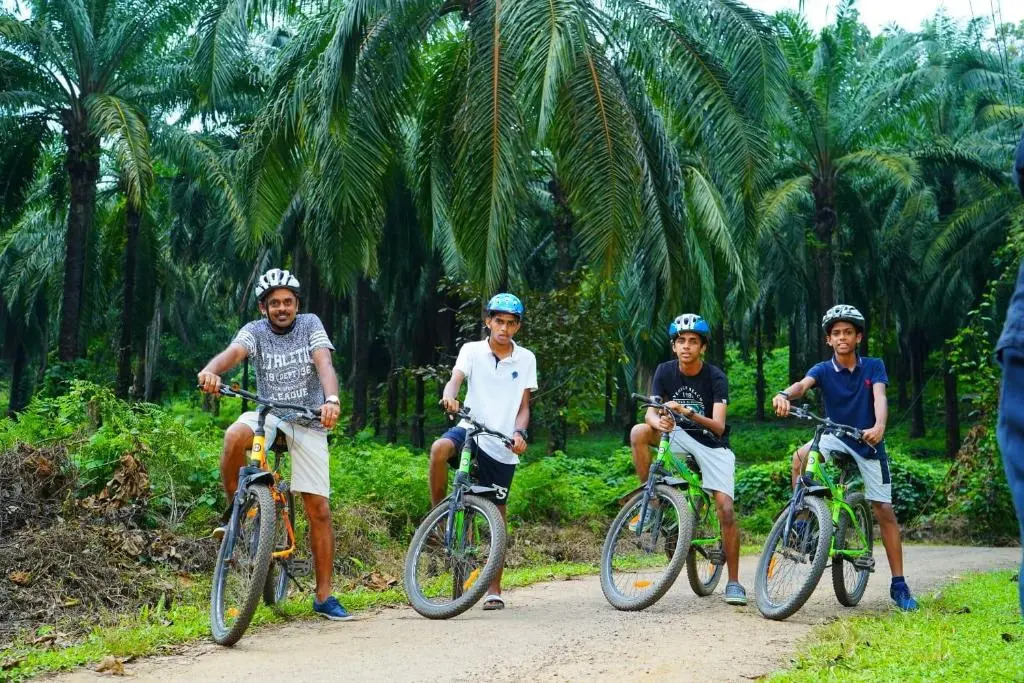 Palattys Resorts
