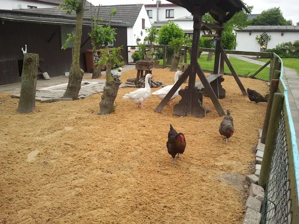 Familien- und Aparthotel Strandhof