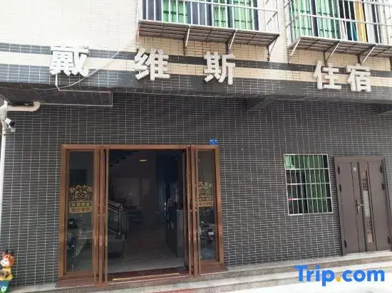 Zhongshan Davis Apartment (Shenwan)