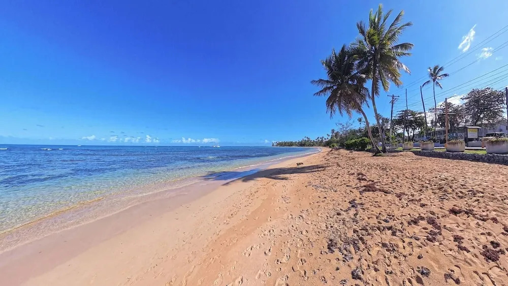 2BR Beachfront Apt Las Terrenas - La Dolce Vita 9