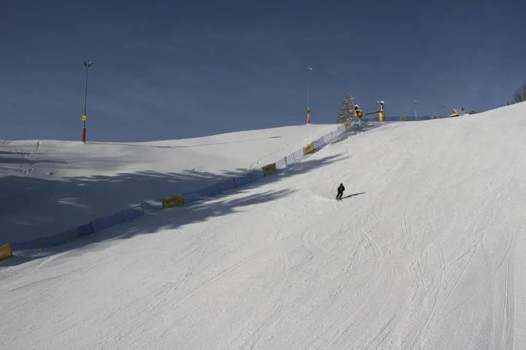 Polana Szymoszkowa Ski Resort - Chamerion Apartments