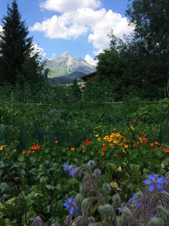 Zur lieben Sonne