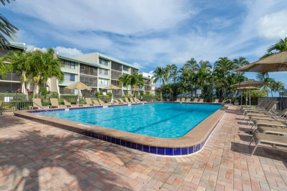 Loggerhead 591
