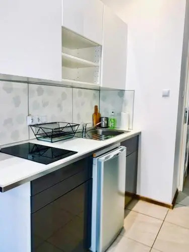 Apartament w centrum