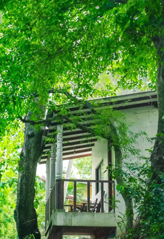 Tamarind Tree House