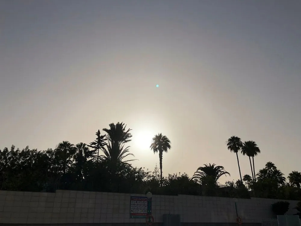Apartamentos Aloe
