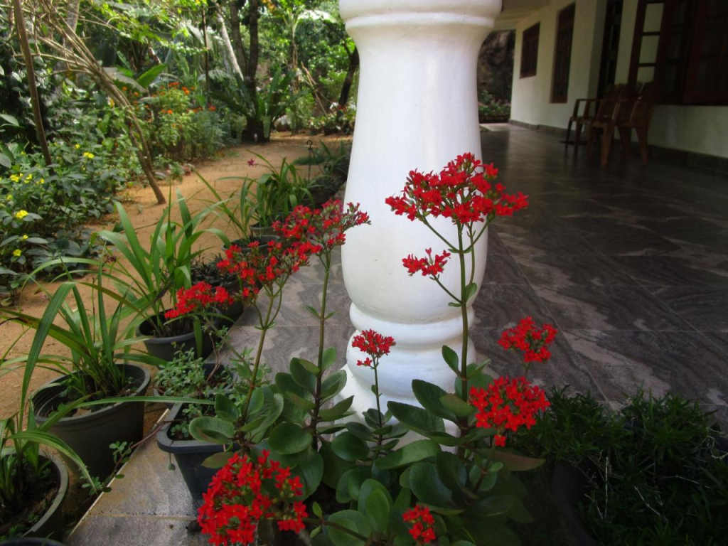 Maneesha Guest House