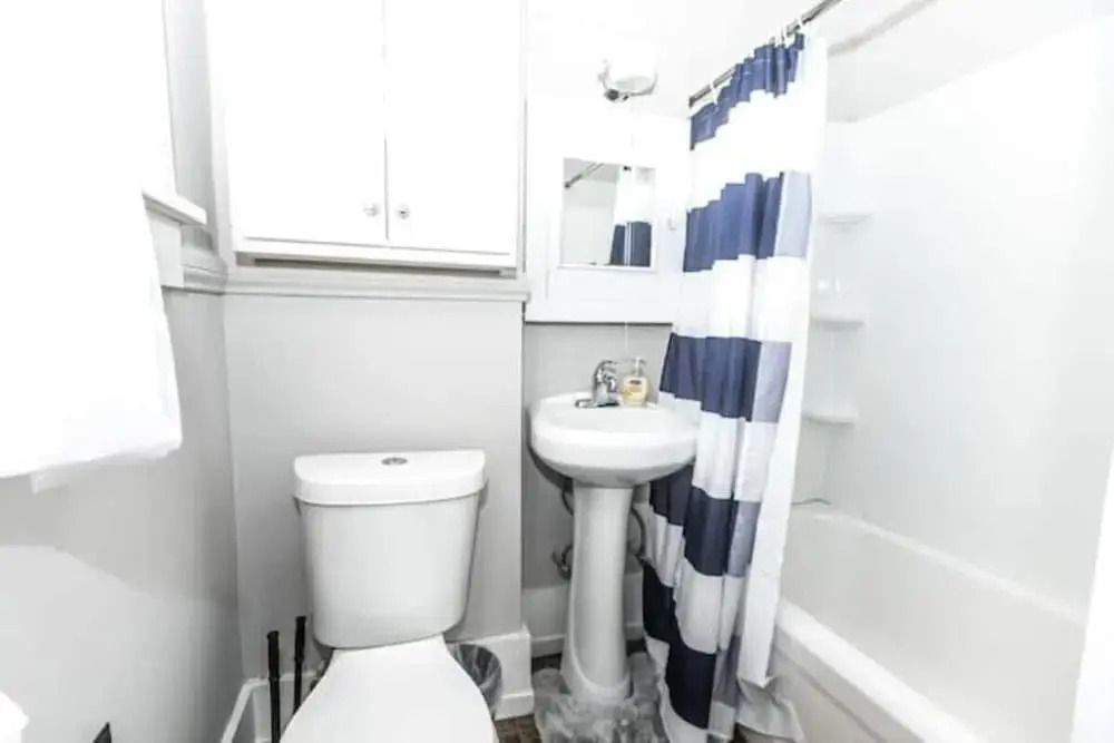 29th Street Trendy Lakeview Craftsman 8