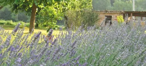 B&B Mulino Barchio
