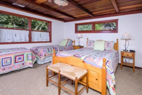 Mendocino Dream