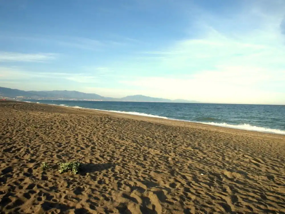 Aldea Beach 1000