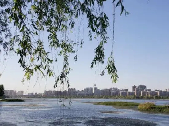 Ward Aladdin Hotel (Linyi Huawu Road)