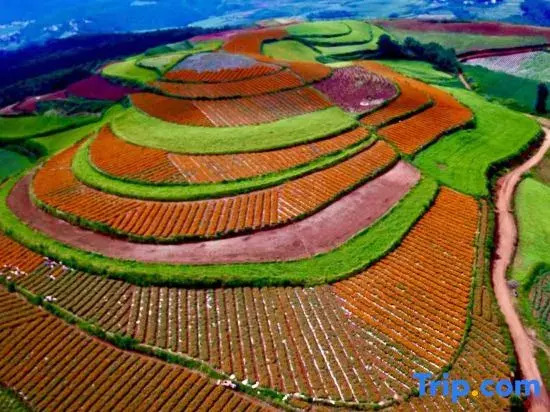 Kunming Hongtu Jiayuan Homestay (Inside Luoxiagou Scenic Area)