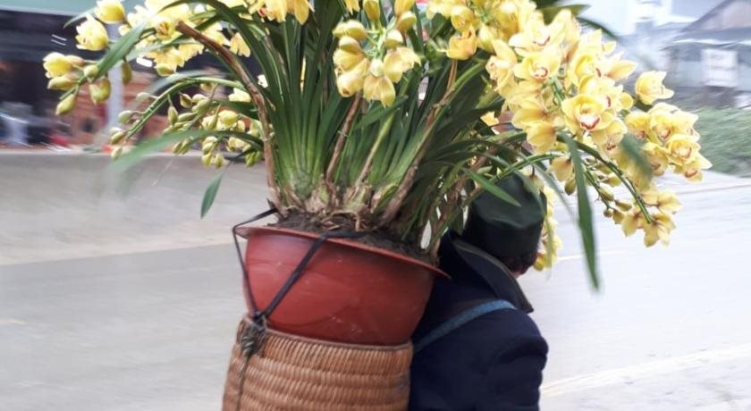 Thuan Ha Hotel Sapa