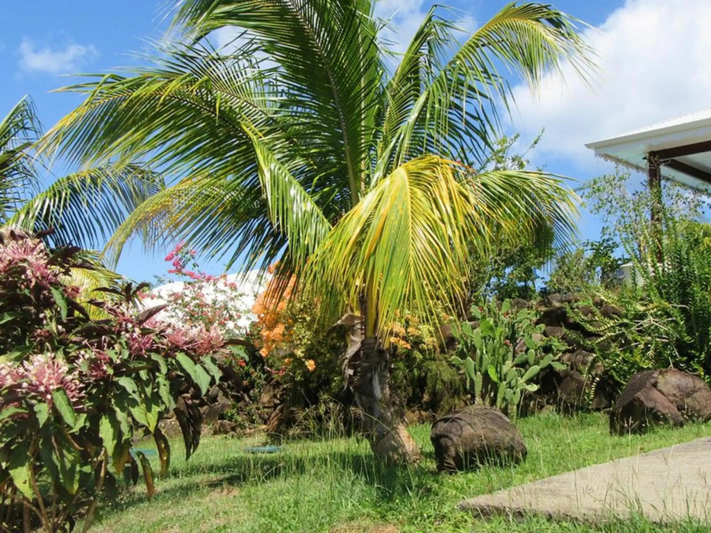 Villa de 2 chambres avec vue sur la mer piscine privee et jardin clos a Deshaies