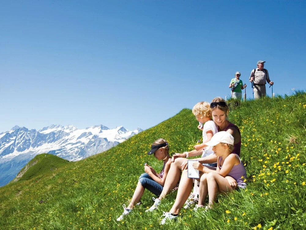 Comfortable Apartment at the Ground Floor, Terrace With View at the Wetterhorn