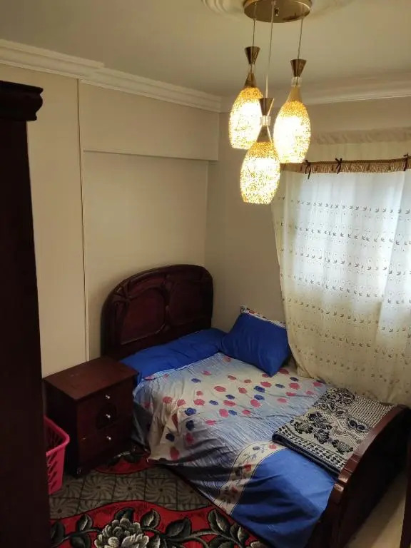 خالد بن الوليد ميامي الاسكندريهKhalid Bin Al Waleed Apartments Miami8
