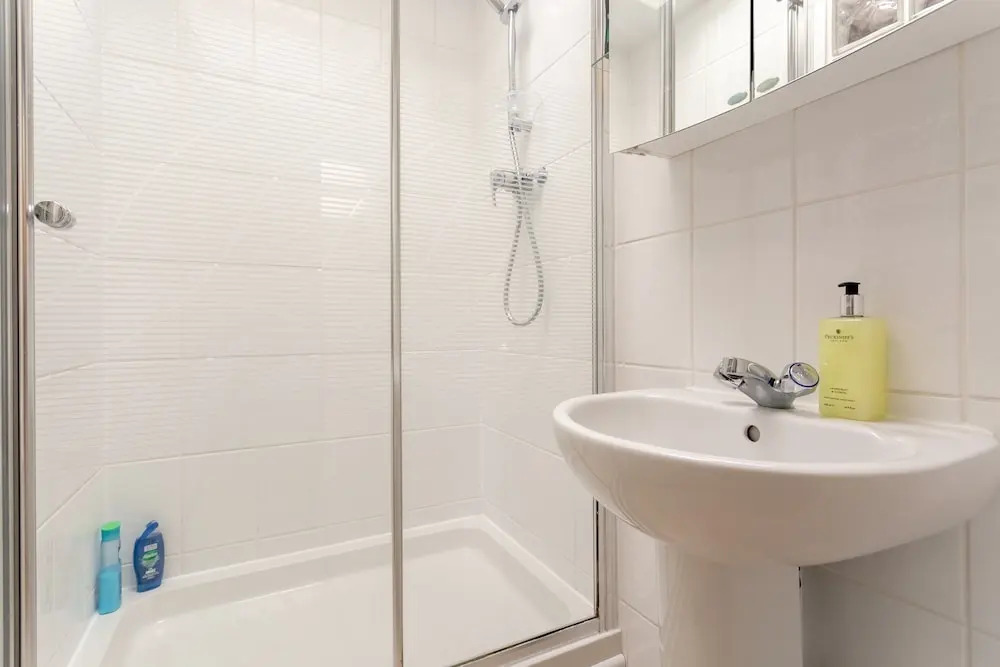 1 Bedroom Flat in South West London