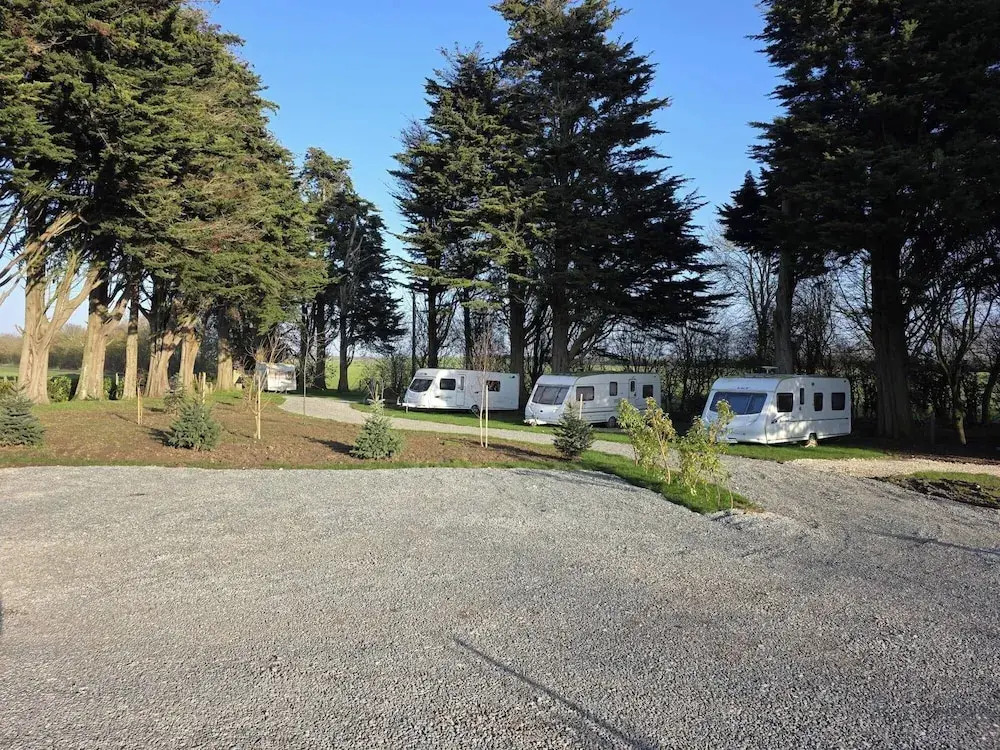 Tall Pines Lodge - Dog Friendly, Nr Sutton on Sea