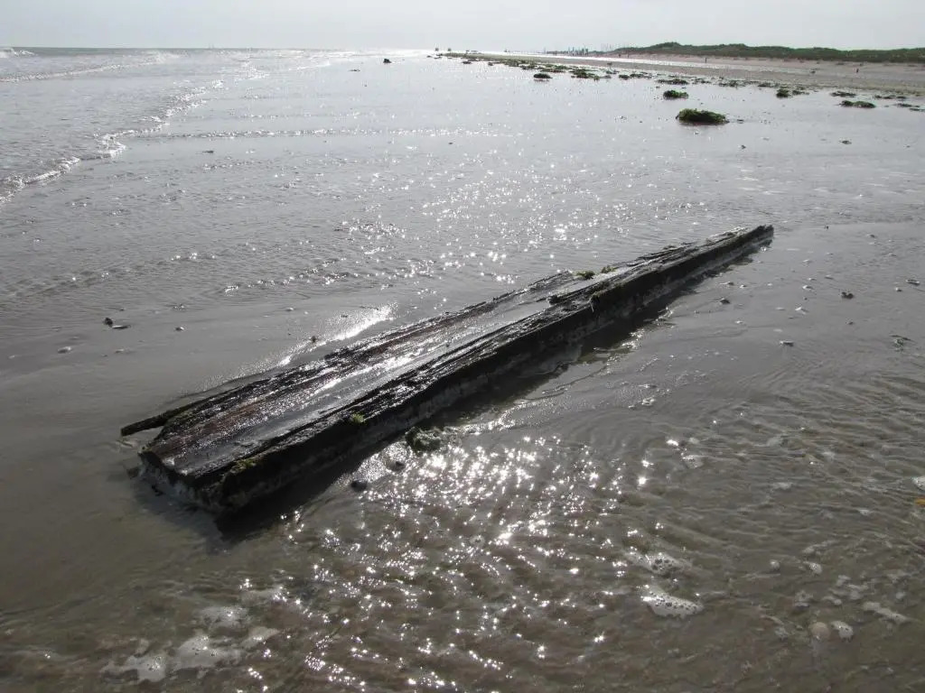 Texelduinen59