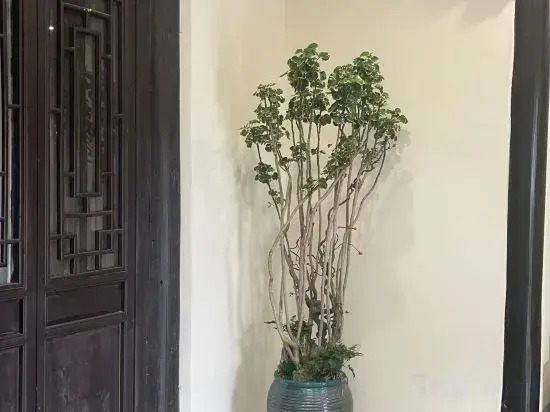 Tangqi Home Siheyuan (Hangzhou Tangqi Ancient Town Store)